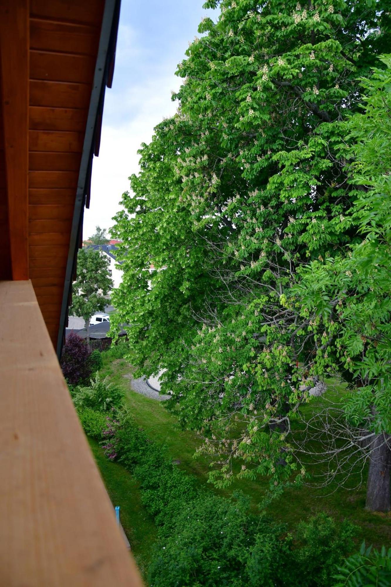 Apartamento Domizil Eutschuetzgruen Bannewitz Exterior foto