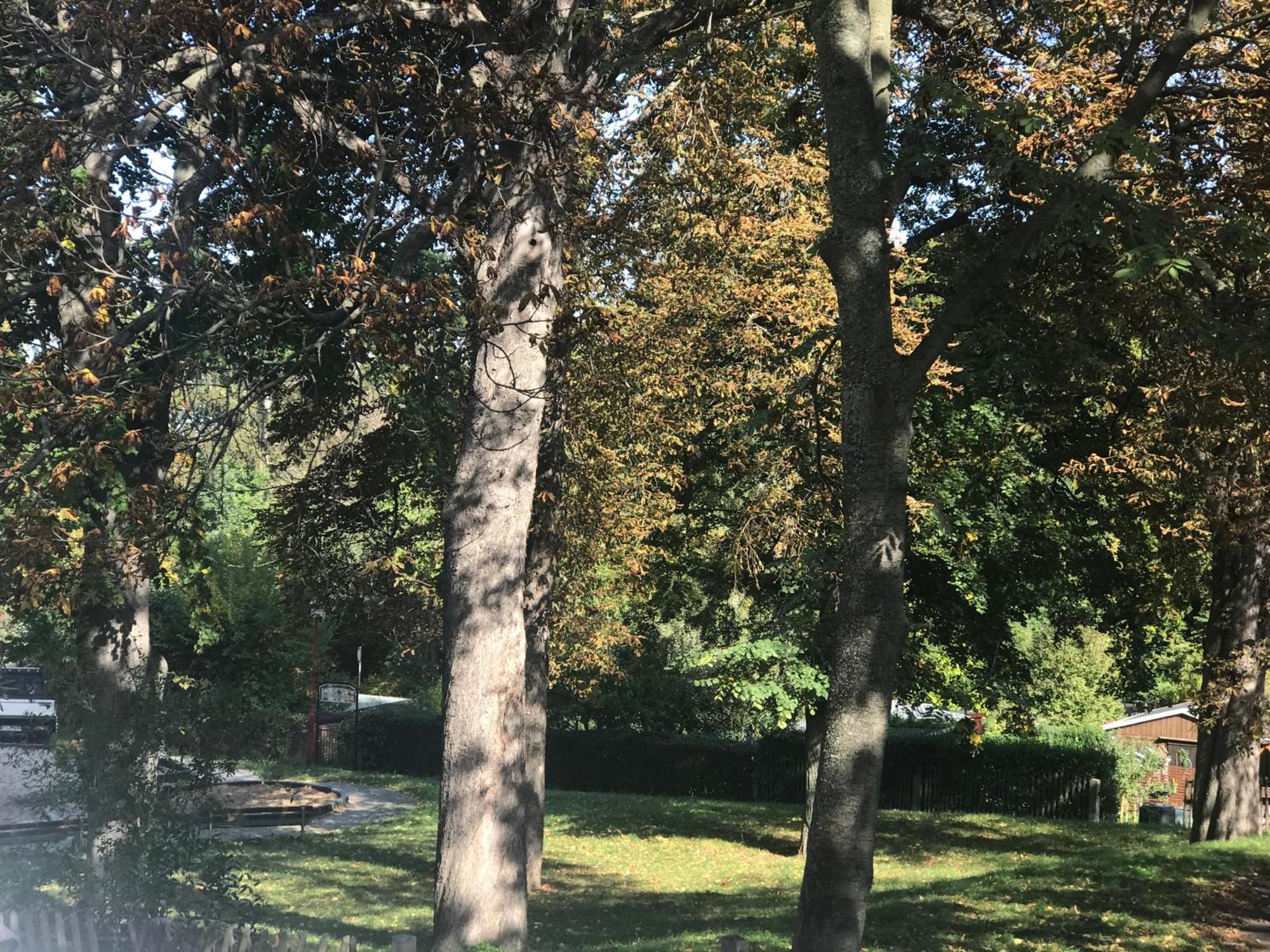 Apartamento Domizil Eutschuetzgruen Bannewitz Exterior foto
